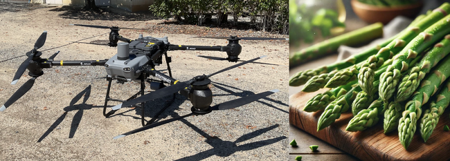 トルビズオン、FlyCart30を用いて佐賀県白石町での農産物配送実験を計画