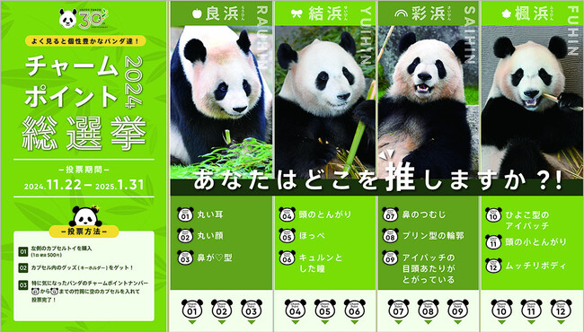 ＼HAPPY PANDA ３０th／あなたはどこを推しますか？！よく見ると個性豊かなパンダたち！期間限定カプセルトイを購入して「チャームポイント総選挙」に投票しよう！
