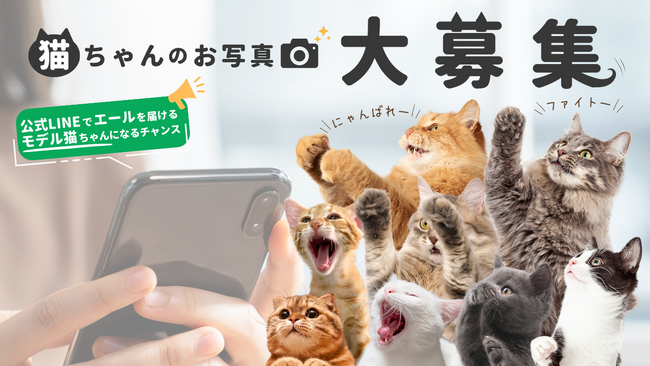 【多くの反響をいただき締切延長】猫ちゃんのお写真大募集！ブランド公式LINE企画で「モデルデビュー」のチャンス！☆2024年11月24日まで☆