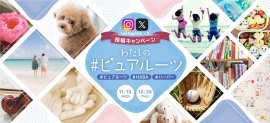 わたしの「#ピュアルーツ」Instagram&X投稿キャンペーン わたしの「#ピュアルーツ」Instagram&X投稿キャンペーン