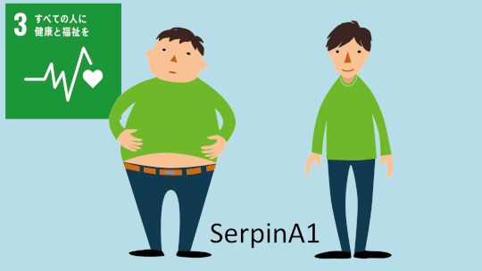 肥満予防の生理活性タンパクの発見-褐色脂肪活性化による糖尿病治療への取り組み-