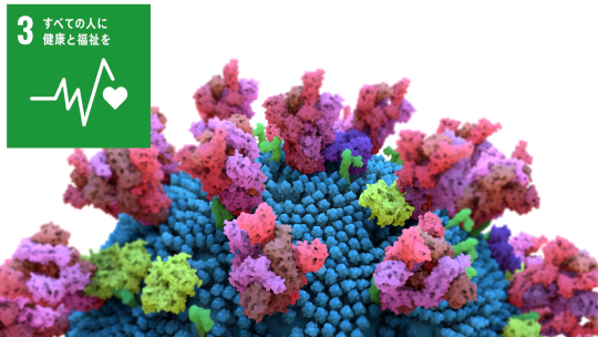 新型コロナウイルス(SARS-CoV-2)の変異株に有効な抗体の特徴を解明