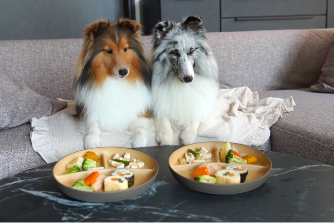 【自社調査】愛犬との旅行に関する調査で、約9割が「愛犬用のお食事を注文する・内容によっては注文する」と回答