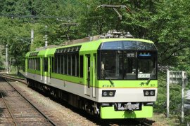 青もみじきらら 青もみじきらら