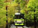 新緑の「もみじのトンネル」を走る「青もみじきらら」 901-902号車 新緑の「もみじのトンネル」を走る「青もみじきらら」 901-902号車