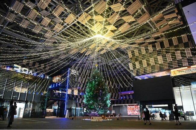 【新潟県長岡市】夜がきらめく特別な季節 Aollumination2024-2025　11月15日(金)から開催