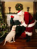 サンタクロースからプレゼント サンタクロースからプレゼント