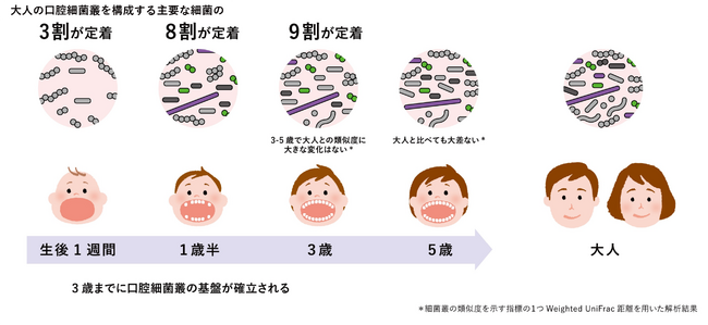 3歳までに口腔細菌叢(※1)の基盤が確立される　乳幼児期の縦断研究(※2)から口腔細菌叢の形成が進む時期を解明
