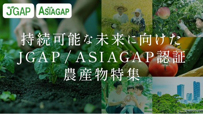 「JALふるさと納税」に持続可能な農業を応援するGAP認証農産物特設ページを公開！