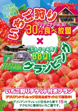 いちご狩りプラン ブリリアントヴィレッジから車で15分!日光ストロベリーパークいちご狩り30分食べ放題プラン いちご狩りプラン ブリリアントヴィレッジから車で15分!日光ストロベリーパークいちご狩り30分食べ放題プラン