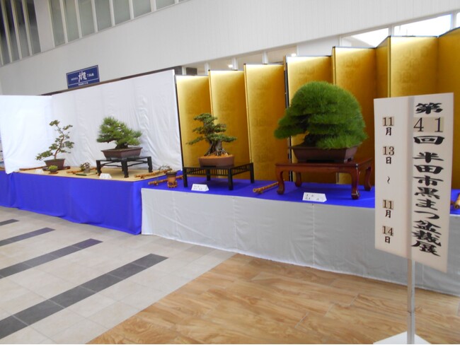 【愛知県半田市】11/25日～26日、日本の伝統文化『黒まつ盆栽』の盆栽展を開催します！〈半田市役所〉