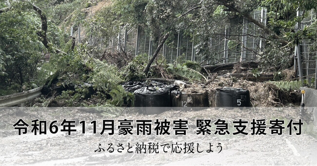 さとふる、「令和6年11月豪雨被害 緊急支援寄付サイト」で新たに沖縄県大宜味村への寄付受け付けを開始