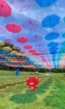 元の応募作品 元の応募作品