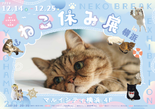 『ねこ休み展 in 横浜』 12/14(土)~12/25(水)開催