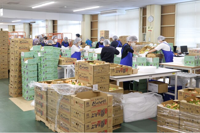 SAGAWA NEWS LETTER<2024年11月号>