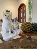 展示作品2 展示作品2