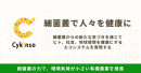 株式会社サイキンソー 株式会社サイキンソー