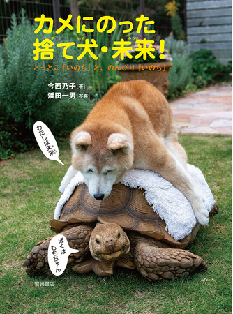 【新刊情報】累計46万部突破！捨て犬・未来＆きららの人気シリーズ最新刊『カメにのった捨て犬・未来！─とっとこ「いのち」と、のんびり「いのち」』（今西乃子・著／浜田一男・写真／かけひさとこ・絵）発売！