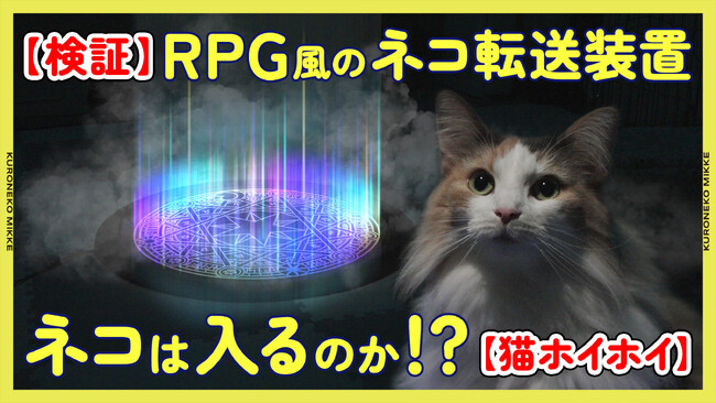 “にゃんともゆる～い”情報エンタメ「クロネコみっけ」最新作＜【検証】RPGゲームに出てくるみたいな光輝くネコ転送装置を作ったら猫は中に入るの!?【猫ホイホイ】＞11月19日（火）から公開！