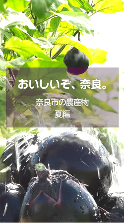 奈良市地産地消プロモーション事業　ショート動画シリーズ「おいしいぞ、奈良。」を公開しました！