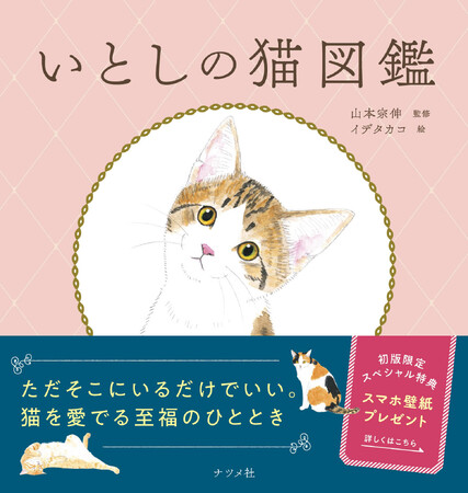 猫の魅力とかわいいが詰まった、猫好きさんなら堪らない一冊『いとしの猫図鑑』11月18日発売