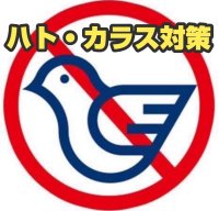 ＜ハト・カラス被害の皆様へ朗報＞鳩対策成功率100％のプロテクトが「害鳥忌避剤のモニター」を11月21日(木)より募集開始