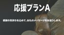 リターンプランA リターンプランA
