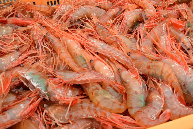 【ふるさと納税返礼品：北海道の「魚貝」編】今年人気の品・隠れた逸品が大集合！「大北海道展2024」