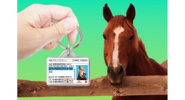 愛馬用身分証明書型グッズ「愛馬免許迷子札(キーホルダー)」をリニューアル! 愛馬用身分証明書型グッズ「愛馬免許迷子札(キーホルダー)」をリニューアル!