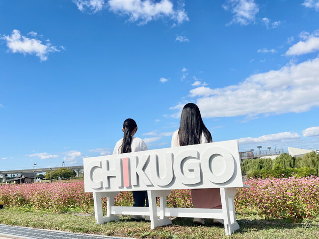 赤蕎麦の花が見頃の筑後広域公園にフォトスポット「ちっごい 愛のベンチ」が完成！！
