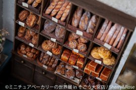 展示作品1 展示作品1