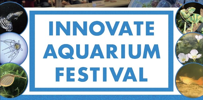 環境移送ベンチャーイノカ、水生生物飼育者の技術をシチズンサイエンスとして12/15(日)開催の「イノアク」に結集。世界を変えるアイデアと生き物愛を発表する6組のファイナリストを発表