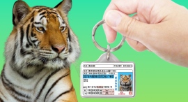 虎専用身分証明書型グッズ「愛虎免許迷子札(キーホルダー)」をリニューアル! 虎専用身分証明書型グッズ「愛虎免許迷子札(キーホルダー)」をリニューアル!