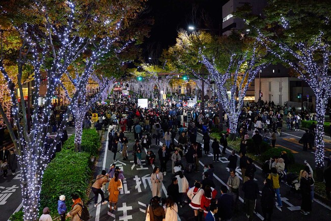 日本一のイルミネーションストリート※1が誕生！100万球のKEYAKI LIGHT PARADE by FeStA LuCe