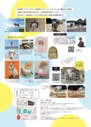 五十嵐健太 飛び猫写真展 五十嵐健太 飛び猫写真展