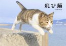 飛び猫写真展 飛び猫写真展