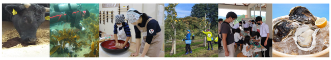 「ディスカバー農山漁村（むら）の宝」 第11回選定の結果を公表しました！