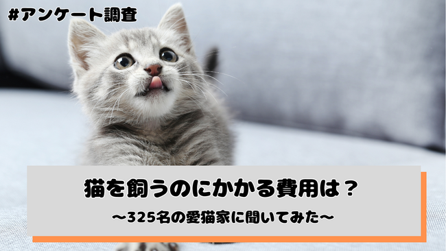 猫を飼うのにかかる費用は？325名の愛猫家にアンケート調査を実施