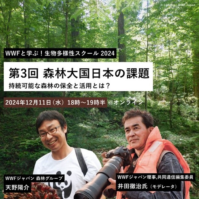 WWFと学ぶ！生物多様性スクール2024 　第3回「森林大国日本の課題～持続可能な森林の保全と活用とは？～」　12月11日（水）18時～19時半（オンライン）