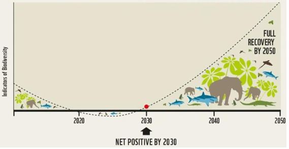 SVPインサイト　経営の新常識『生物多様性』