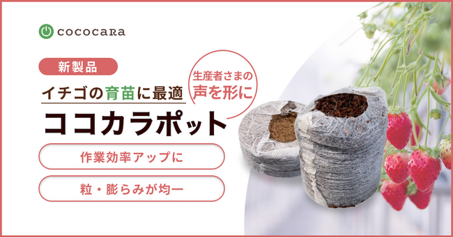 イチゴの育苗に最適な「ココカラポット」を新発売