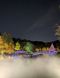 めざせ“天空の城 野津田”11月30日(土)雲に浮かぶたいこ橋が一夜限りブルーに染まる！～薬師池　紅葉ライトアップ　薬師雲海～