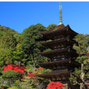 ポイント1 国宝瑠璃光寺五重塔(山口市) ポイント1 国宝瑠璃光寺五重塔(山口市)