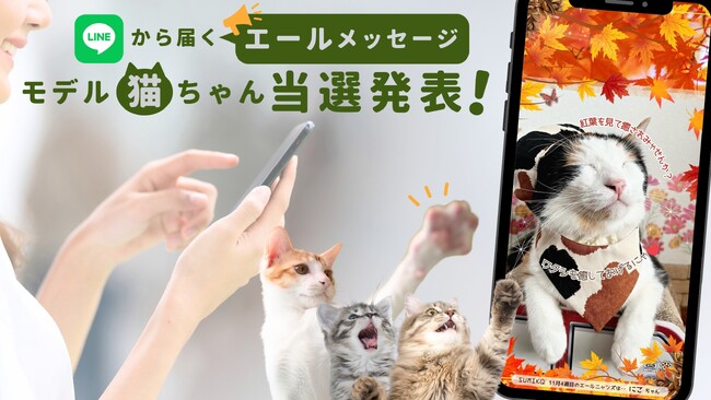 300枚を超える中から選ばれし52ニャン♪猫ぐらしブランド公式LINE企画