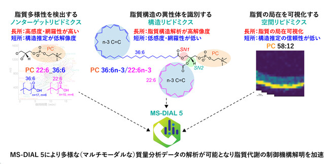 【慶應義塾】複雑かつ多様な脂質代謝を解明する情報解析プログラム