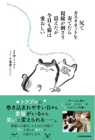 【新刊】異彩を放つ文章を生み出し続けるやーこの第3弾は「猫」「笑い」「癒やし」。『尻でカスタネットを奏でたら視線が刺さり震えたが今日も猫は愛おしい』11/29発売