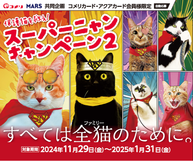 すべては全猫（ファミリー）のためにお買い上げいただいた金額の一部を保護猫団体へ寄付　保護猫を救え！『スーパーニャンキャンペーン2』