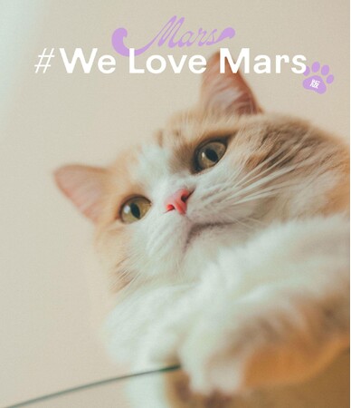 電子書籍限定で本日発売！『＃We Love Mars版』THE RAMPAGE 藤原 樹の愛猫マースの未公開カットが満載