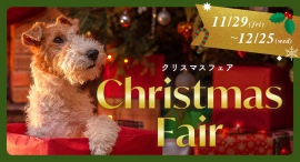 OFTでは11月29日からChristmas Fair(クリスマスフェア)がスタート♪好評発売中の福袋もプレゼントにピッタリ♪ OFTでは11月29日からChristmas Fair(クリスマスフェア)がスタート♪好評発売中の福袋もプレゼントにピッタリ♪