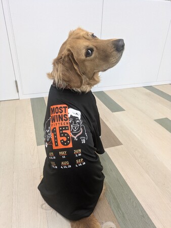 11/30（土）ジャイアンツ・ファンフェスタ2024にて販売開始！菅野智之×介助犬のコラボ新商品のポーチ＆最多勝Tシャツ！